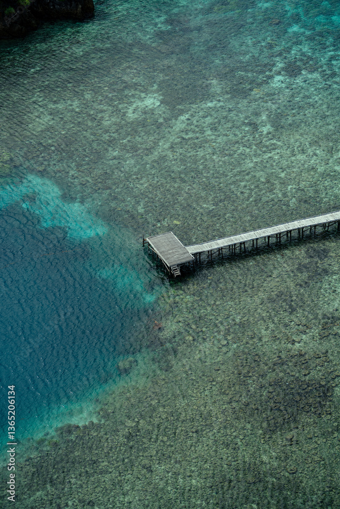 A long wooden pier extends over shallow, crystal-clear waters with a small hut at the end. The coral reef below is visible, transitioning into deep blue ocean. Aerial view of a tropical paradise A long wooden pier extends over shallow, crystal-clear waters with a small hut at the end. The coral reef below is visible, transitioning into deep blue ocean. Aerial view of a tropical paradise
