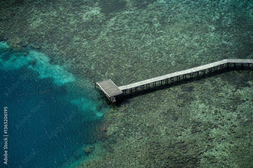 A long wooden pier extends over shallow, crystal-clear waters with a small hut at the end. The coral reef below is visible, transitioning into deep blue ocean. Aerial view of a tropical paradise A long wooden pier extends over shallow, crystal-clear waters with a small hut at the end. The coral reef below is visible, transitioning into deep blue ocean. Aerial view of a tropical paradise