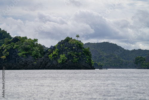 Wallpaper Mural Lush tropical island with volcanic rock and palm tree under moody sky in Raja Ampat Torontodigital.ca