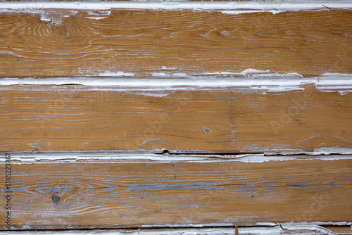 Texture of wood grain,background image