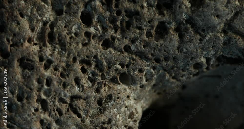 Close-up of a weathered volcanic rock with porous surface details Close-up of a weathered volcanic rock with porous surface details