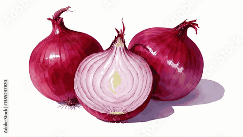 Shallots isolated watercolor vector illustration svg