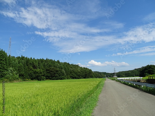 夏の農村風景