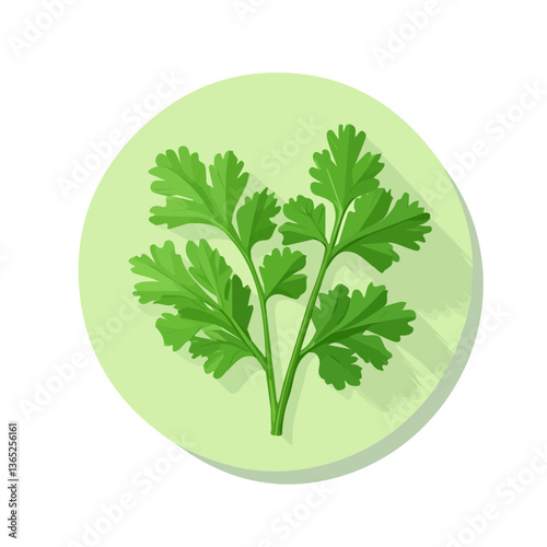 Flat 2D illustration of green cilantro isolated on a white background, vector 2D design, icon, Simple flat 2d illustration art. EPS format illustration