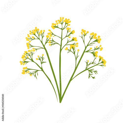 Simple flat 2D illustration of dill isolated on a white background, ai, flat 2d design, ideal for animation, UI/UX design, mobile apps, web design, digital illustrations