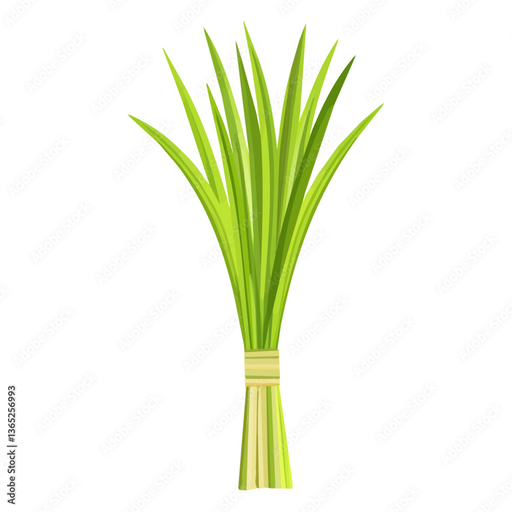 Fototapeta premium Simple flat 2D icon of the lemongrass branch, isolated on a transparent background, vector, flat design, animation design, clipart.