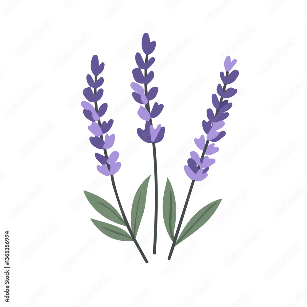 Naklejka premium A flat 2D icon of a lavender branch with purple flowers, designed in a simple style. Vector, transparent background, animation design, clipart. EPS