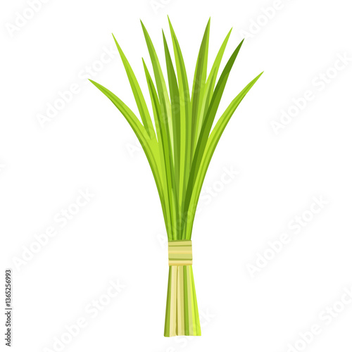 Simple flat 2D icon of the lemongrass branch, isolated on a transparent background, vector, flat design, animation design, clipart.