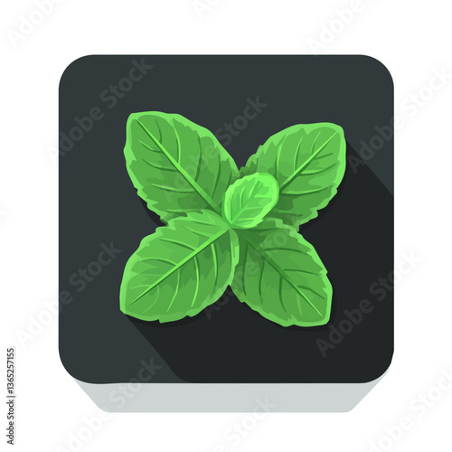 A Simple illustration, flat 2D icon mint leaves isolated on a transparent background, vector, flat design, vector, animation design, simple flat 2D icon, clipart