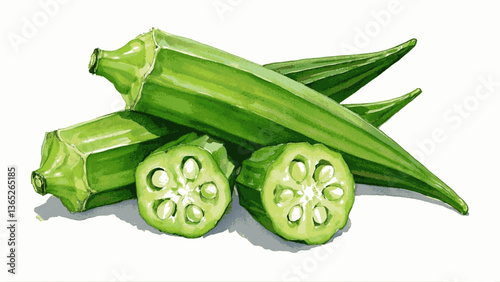 Fresh okra pods isolated watercolor vector illustration svg