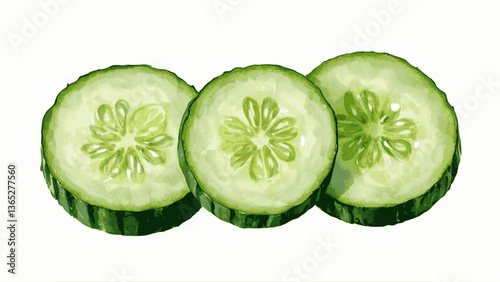 Cucumber isolated watercolor vector illustration svg