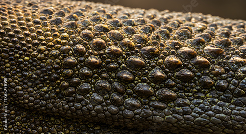 Komodo dragon skin texture in detailed closeup showcasing intricate patterns