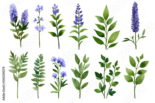 Wallpaper Mural Watercolor wildflowers and leaves illustration set isolated on white Torontodigital.ca