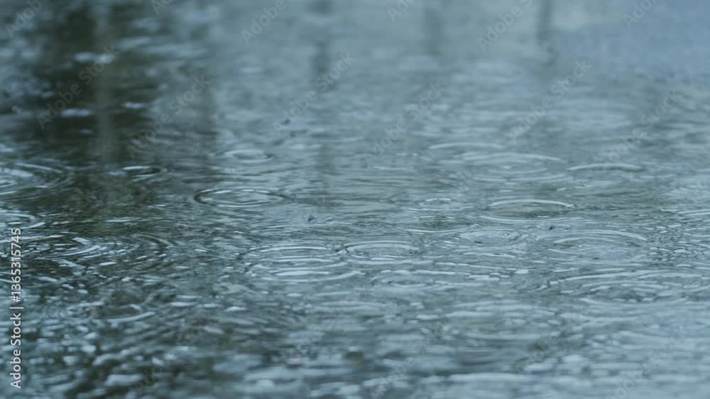 Raindrops falling into puddles creating ripples on the surface. Slow motion. Medium shot. Monsoon seasonal pattern. Raindrops falling into puddles creating ripples on the surface. Slow motion. Medium shot. Monsoon seasonal pattern.