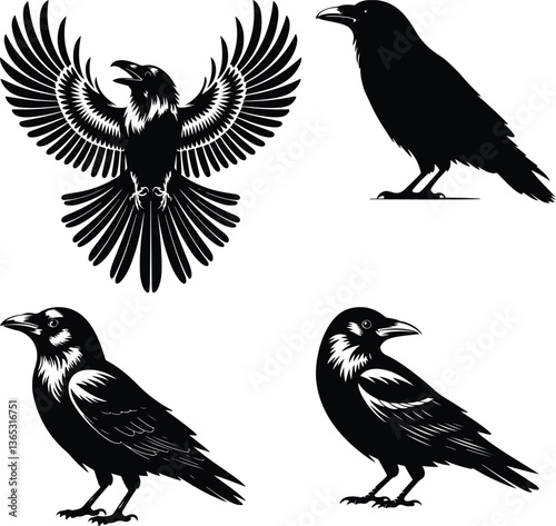 set of silhouettes of birds A collection of crow bird silhouettes, predominantly crows or ravens crow setting on a branch line art silhouette vector Flying Crow Bird Silhouette Design And Vector Illus