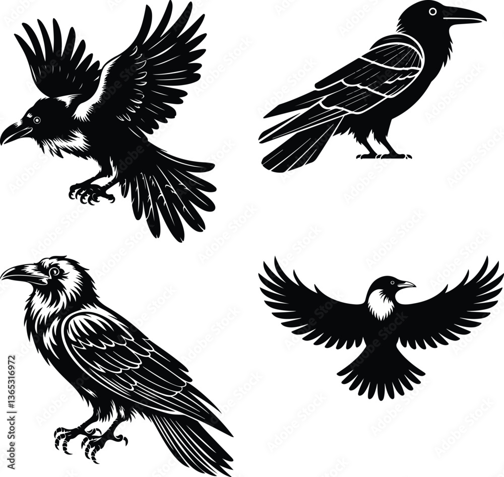 Obraz premium set of silhouettes of birds A collection of crow bird silhouettes, predominantly crows or ravens crow setting on a branch line art silhouette vector Flying Crow Bird Silhouette Design And Vector Illus
