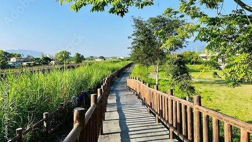 green plants nature beautiful trails