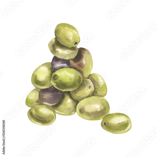 Green olives bunch watercolor illustration. Hand drawn vegan food clipart, Greek and Italian cuisine traditional ingredient painting for menu, product packing, label, logo design