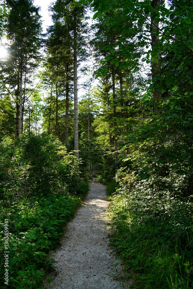 Fototapeta premium Berge | Gesäuse in Österreich