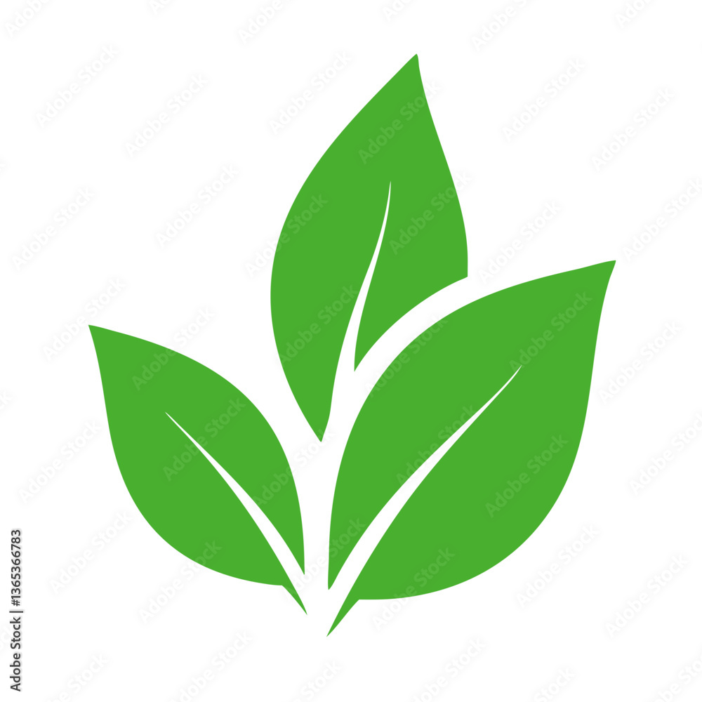 Fototapeta premium green leaf vector