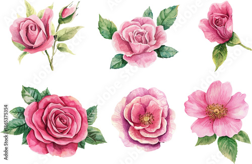 Roses Watercolor illustration. Hand drawn underwater element design	
