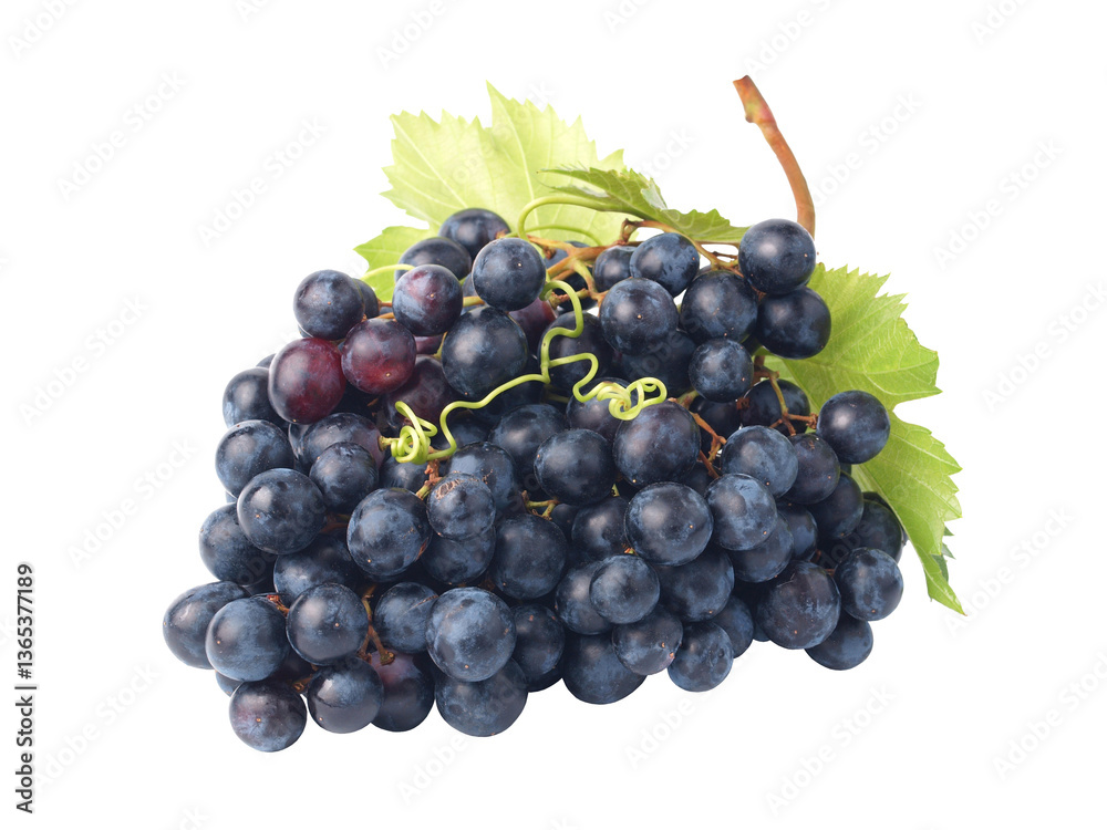 Bunch of grapes isolated on white