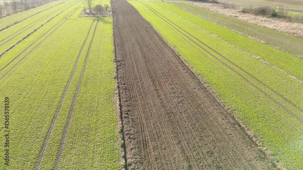 Drone perspective of farmland with tire tracks and crops Drone perspective of farmland with tire tracks and crops