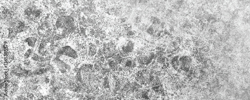 A Rustic and Industrial Appeal of a Naturally Aged and Weathered Cement Surface

