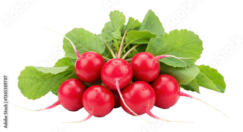 Isolated Heap of Fresh Radishes with Leaves