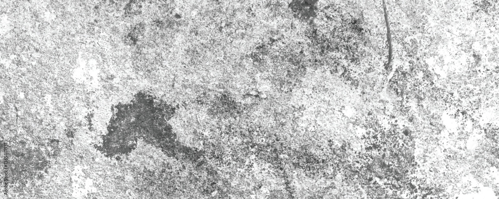 Fototapeta premium The Grunge and Industrial Appeal of a Worn and Textured Concrete Wall with Layers of History