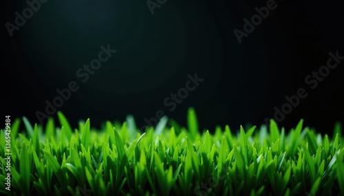 Smooth green grass on a dark black background,  fresh, grass