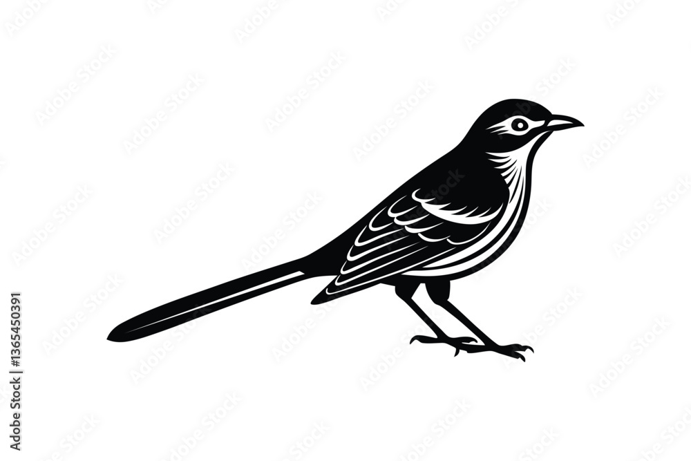 Obraz premium Mocking Bird Vector Design with White Background