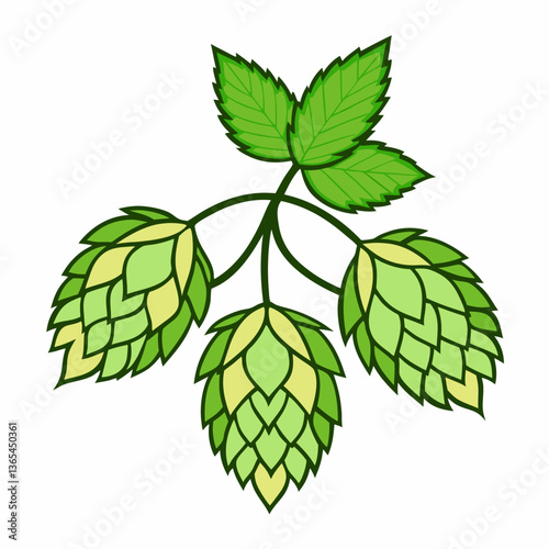 Hop shoots isolated on white