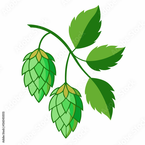 Hop shoots isolated on white