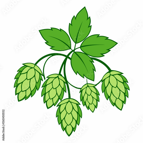 Hop shoots isolated on white