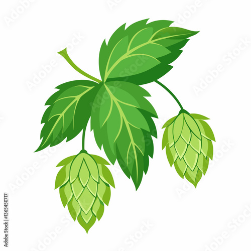 Hop shoots isolated on white