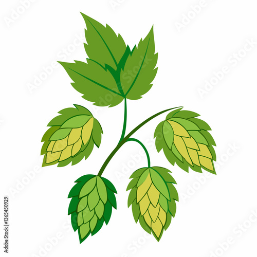 Hop shoots isolated on white