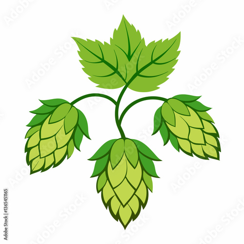 Hop shoots isolated on white