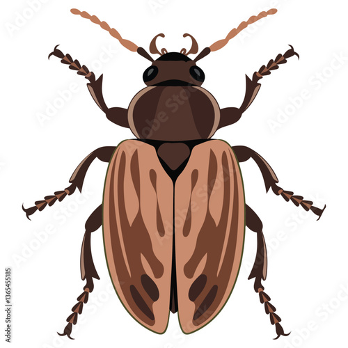 Beetle bug illustration