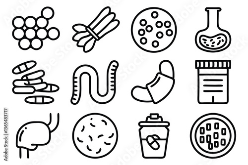 digestion  intestine  stomach  and probiotics edit