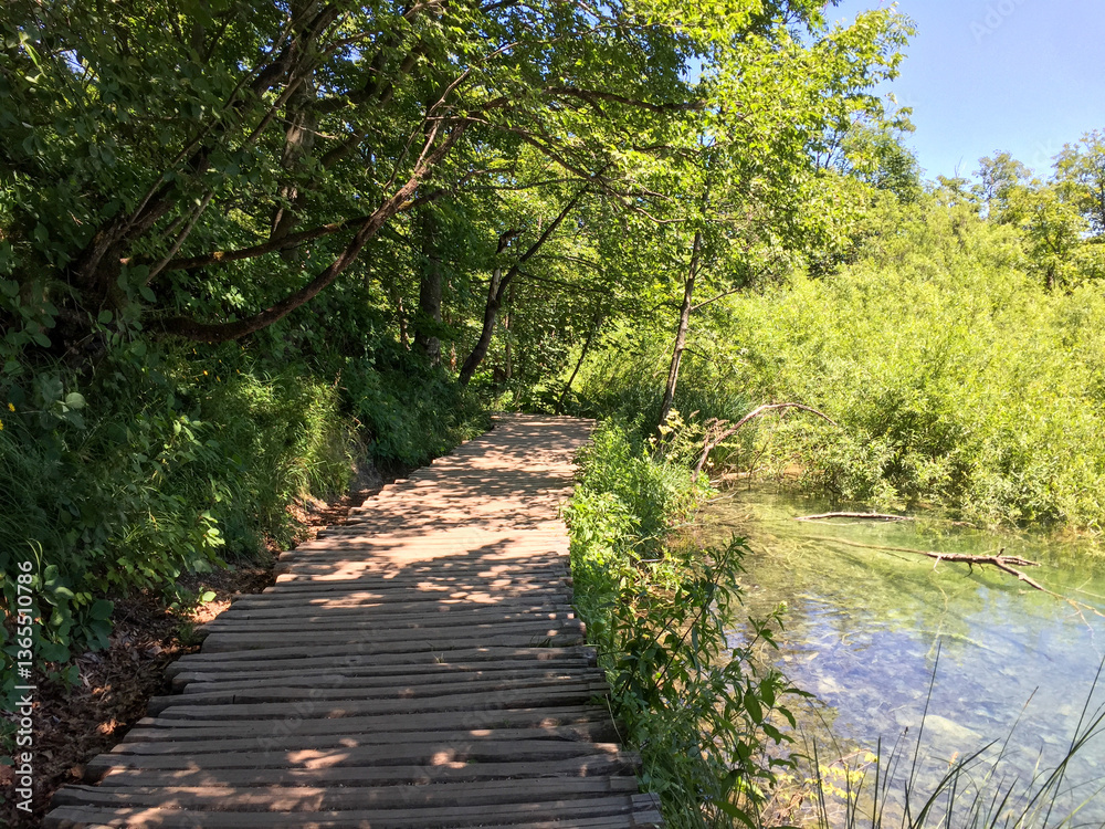 Naklejka premium Tranquil Turquoise Waters of Plitvice Lakes