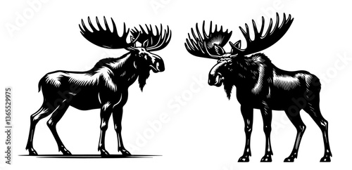 black and white vector illustration of two moose facing each other, detailed wild animal silhouettes