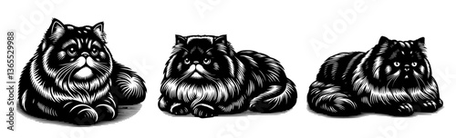 persian cats black and white vector set