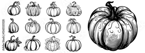 pumpkin sketch set vector illustration