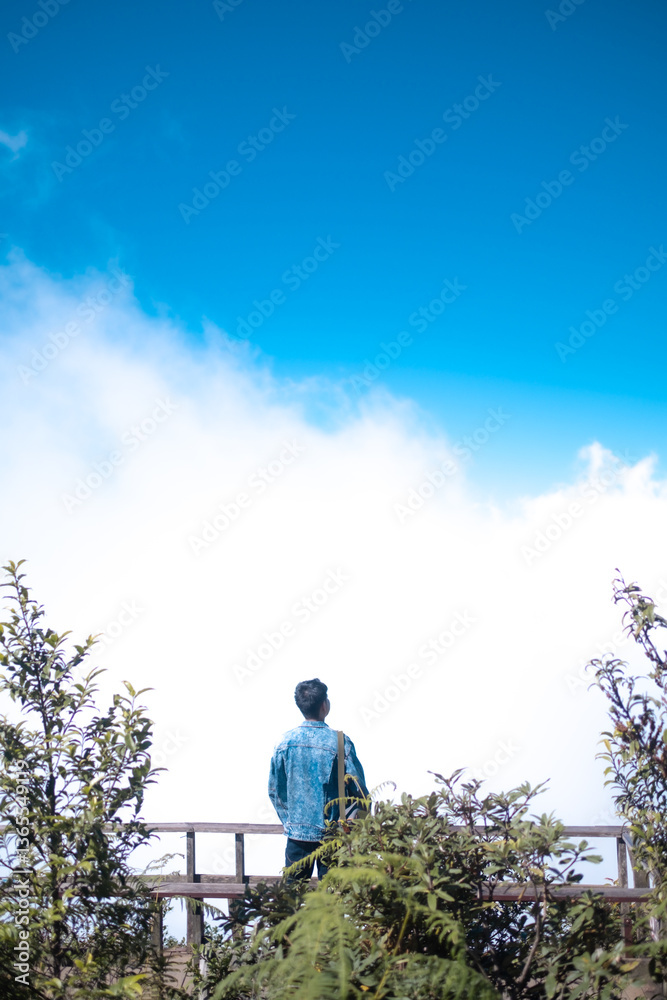 Obraz premium A man stands on a bridge looking out over a forest