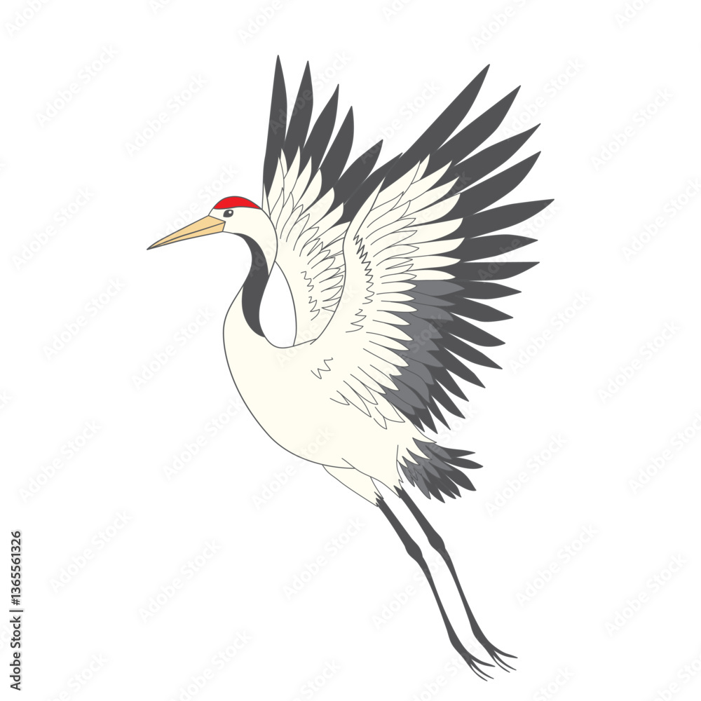 Naklejka premium Japanese crane bird isolate on a white background. Vector graphics.