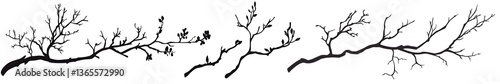 Branching Out: A minimalist sketch of delicate tree branches, perfect for conveying simplicity and the essence of nature.