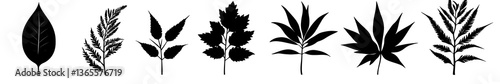 Leaves Silhouette: A series of intricate leaf silhouettes, showcasing a variety of shapes and forms, meticulously captured against a contrasting backdrop, ready to be utilized for creative designs.