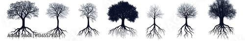 Roots of Life: A silhouette of various tree types is depicted, with emphasis on their intricate root systems, revealing the interconnectedness of nature.