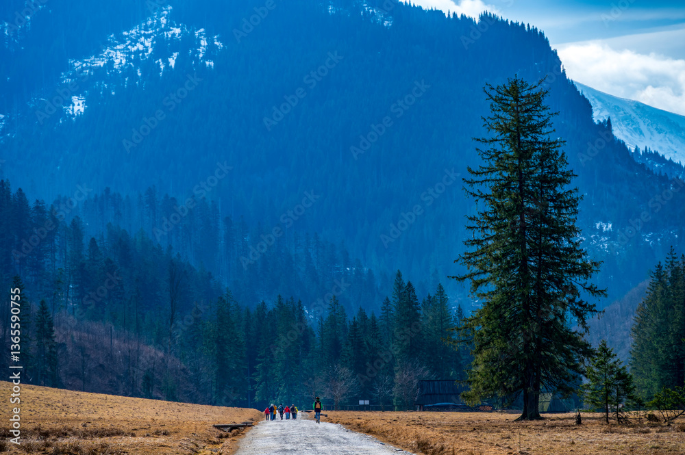 Zakopane,Koscieliska,Spring holidays in the mountains